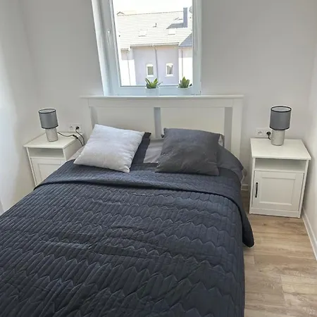 Apartment Bosmanska *
